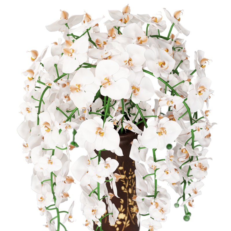 Orchid bouquet for interior - Image 2