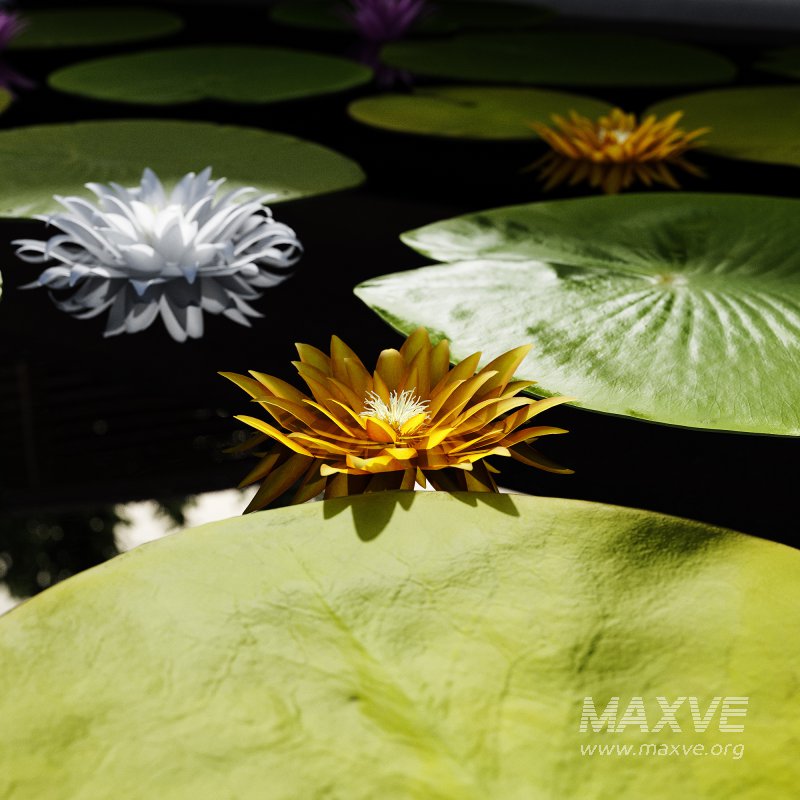 Outdoor Plants – town Square 2 - Image 3