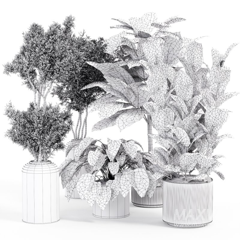 Indoor_plant_set_with_plant_tree_concrete_dirt_vase - Image 4