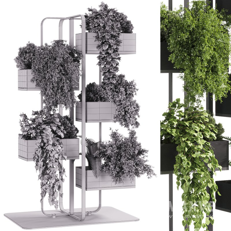 indoor plants – 53 Plant Stand - Image 4