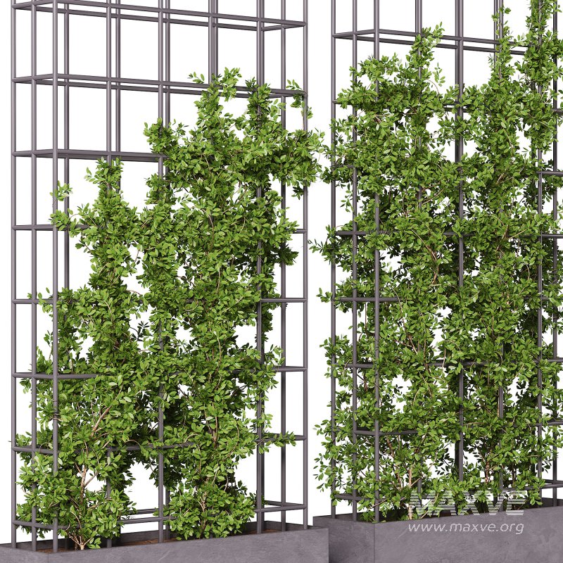 Vertical Garden Partiton plants 05 - Image 1