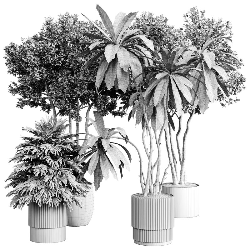 indoor plants 111 – plant collections in pot - Image 4