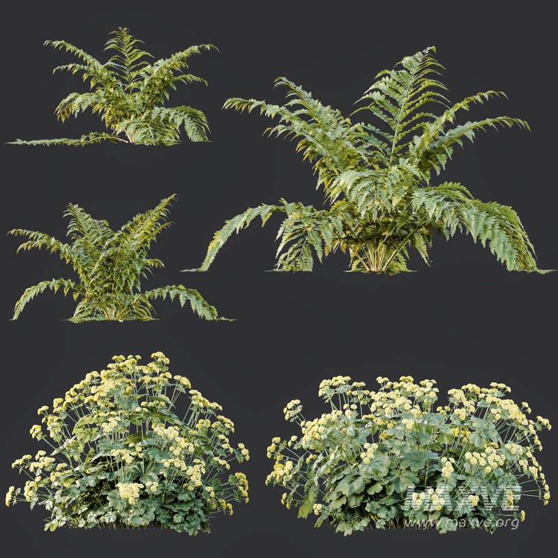 ntal gardens. It introduces a tender and romantic texture, ideal for rendering borders, wildflower beds, or traditional landscaping scenes. - Image 11