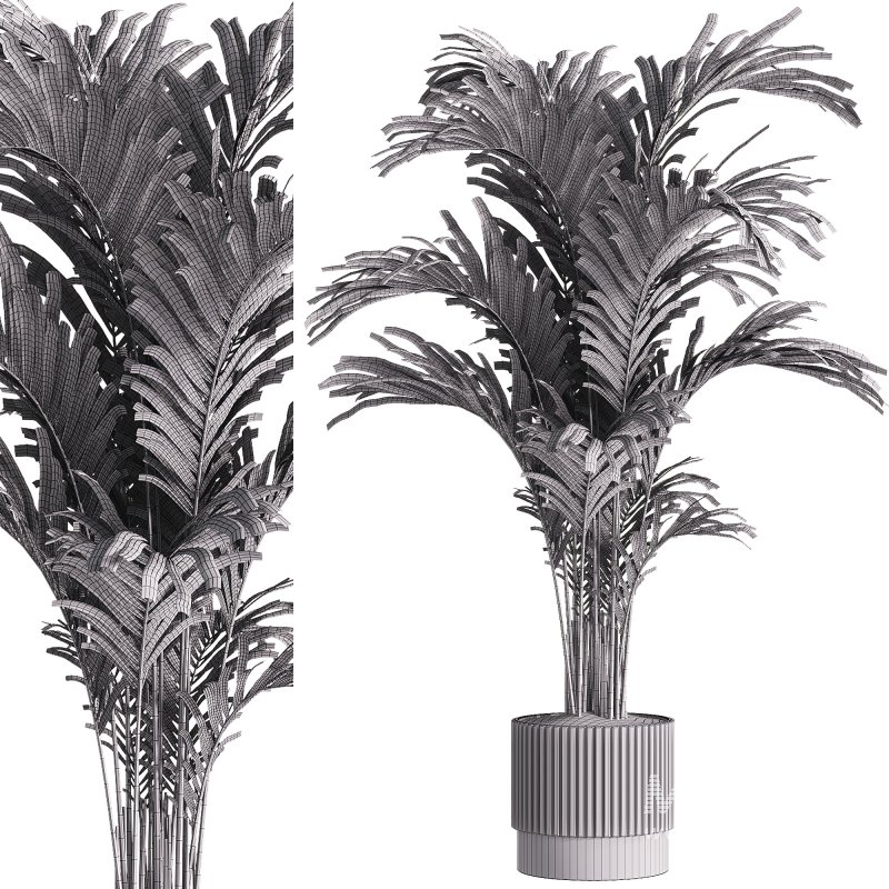 indoor plants – 30 plant in pot - Image 1