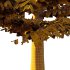 Fagus Grandifolia Tree 07 - Thumbnail 6