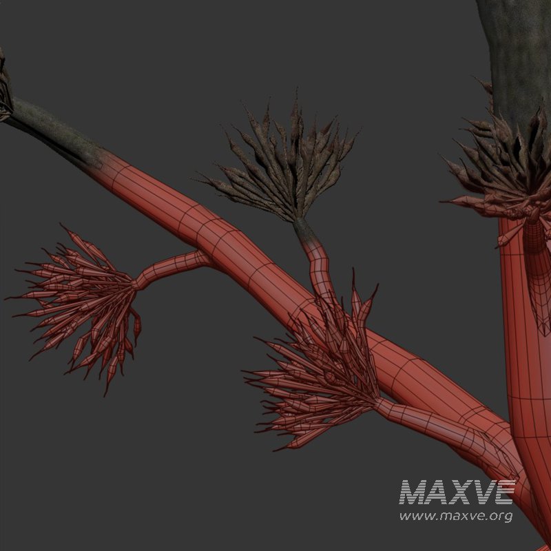 Bouquet set 18 - Image 3