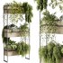 indoor plants – 114 Plant Stand - Thumbnail 2