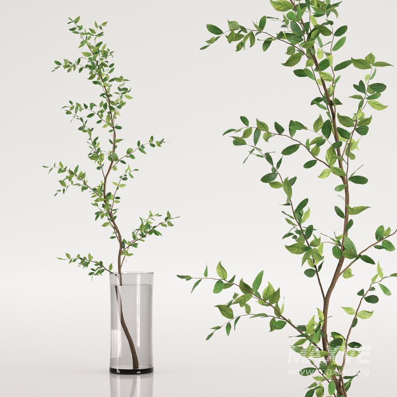 Plants bouquet set 17 - Image 2