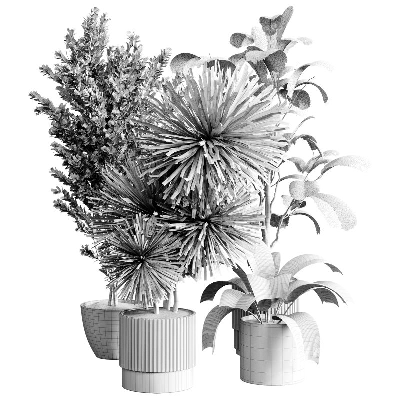 indoor plants 119 – plant collections in pot - Image 2