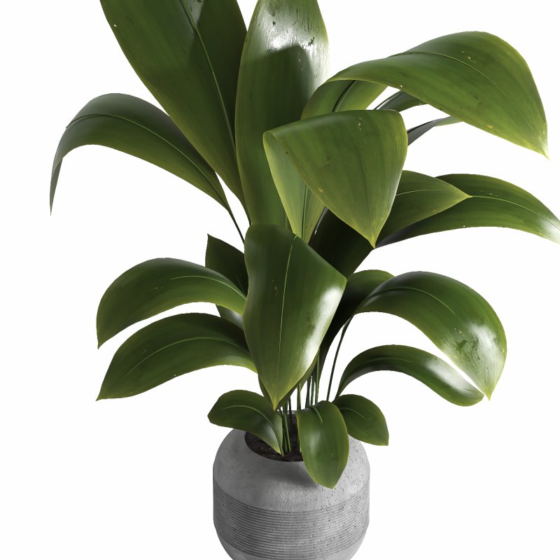 indoor plant 041 - Image 2