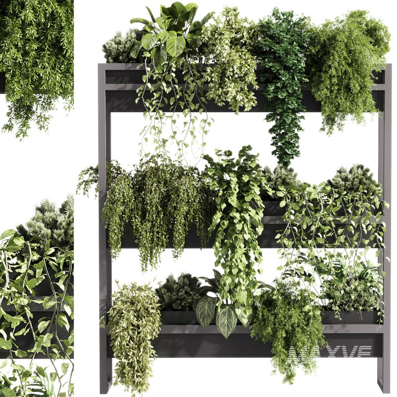 indoor plants – 54 Plant Stand - Image 4