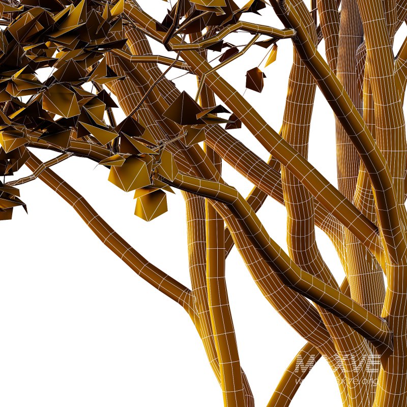 Acer Pseudoplatanus spring trees 07 - Image 1