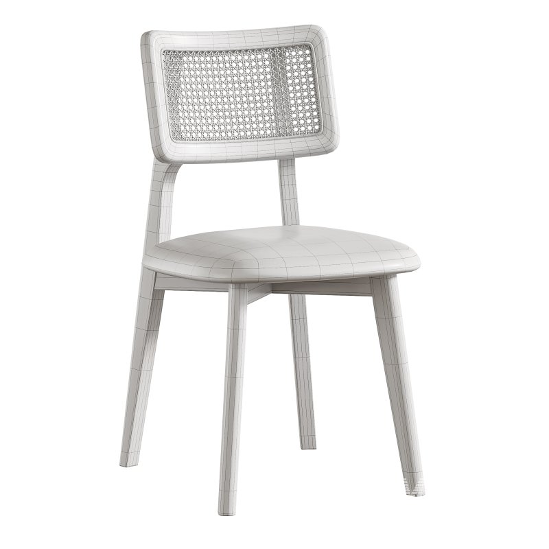 Rattan Dining Chair - Image 8