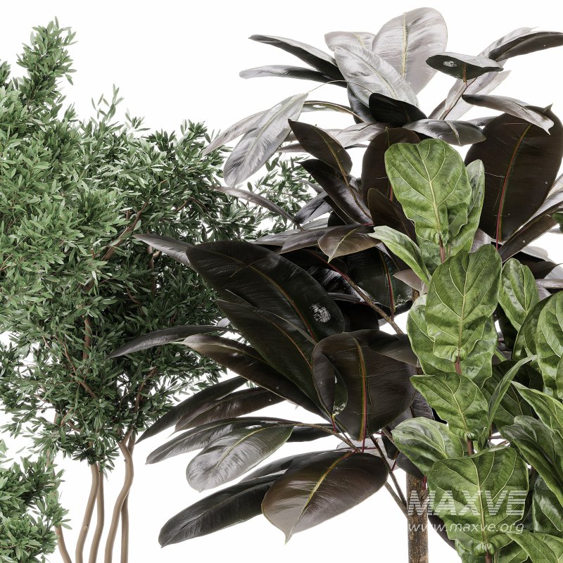 Indoor_plant_set_with_plant_tree_concrete_dirt_vase - Image 3