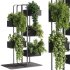 indoor plants – 53 Plant Stand - Thumbnail 3
