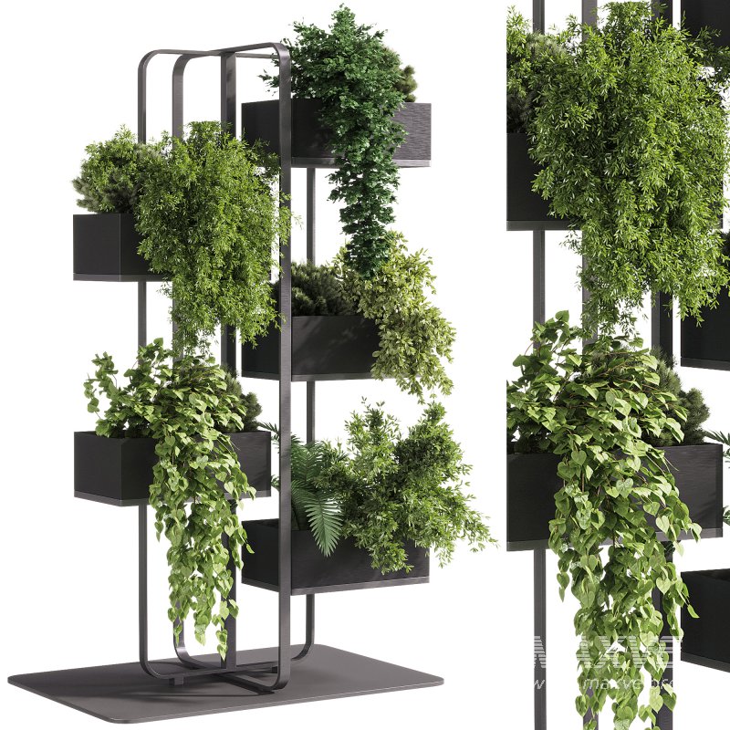 indoor plants – 53 Plant Stand - Image 3