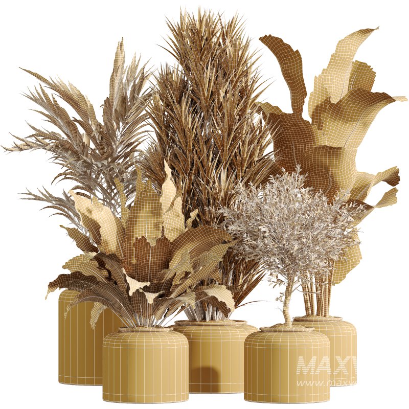 AV Indoor Plants Set 248 Pelagio Palm and Yucca Elephantipes and Cuban Cigar and Olive Elegant and Peace Lily - Image 6