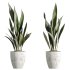 ntal plants. Each plant is placed in finely crafted marble-textured or ribbed pots, enhancing their modern, luxurious appeal. - Thumbnail 4
