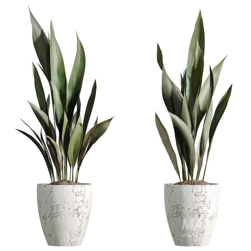 ntal plants. Each plant is placed in finely crafted marble-textured or ribbed pots, enhancing their modern, luxurious appeal. - Image 4