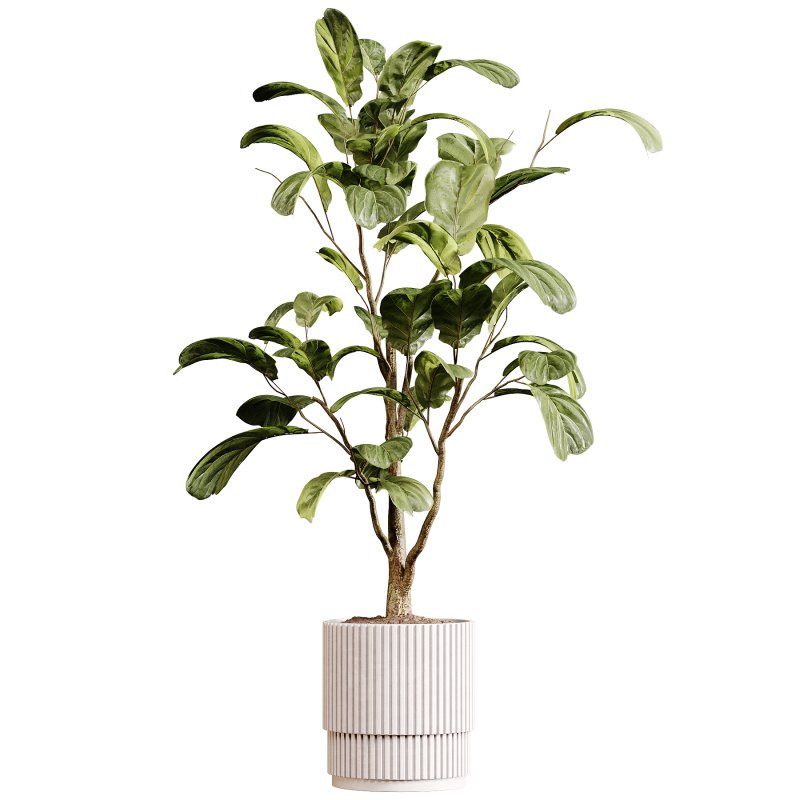 Indoor plants 88 – Plant in pot - Image 3
