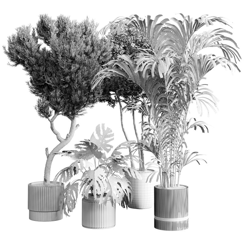 indoor plants 122 – plant collections in pot - Image 1