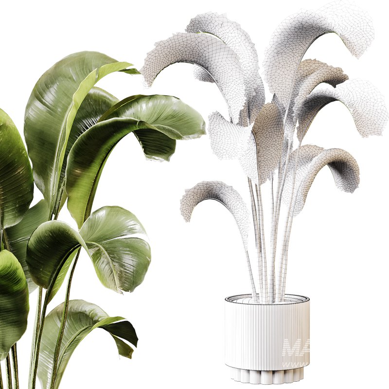 Indoor plants 95 – Plant in pot - Image 1