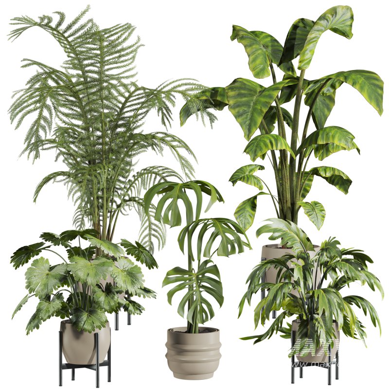 plants set - Image 1