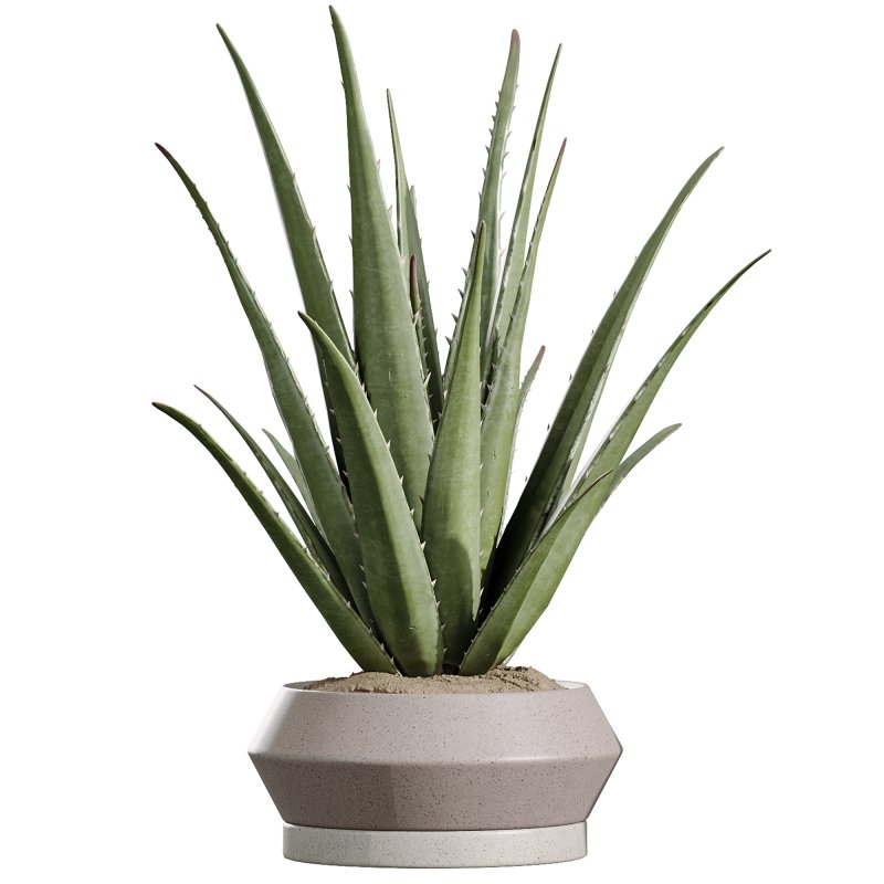 ntal value and botanical origin. Perfect for luxury interiors, modern lobbies, or minimalist environments, this set balances lush volume with sharp sculptural lines. - Image 1