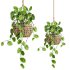 hanging plants set - Thumbnail 2