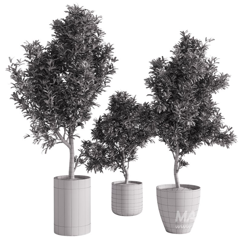 indoor plants – 65 plant in pot - Image 1