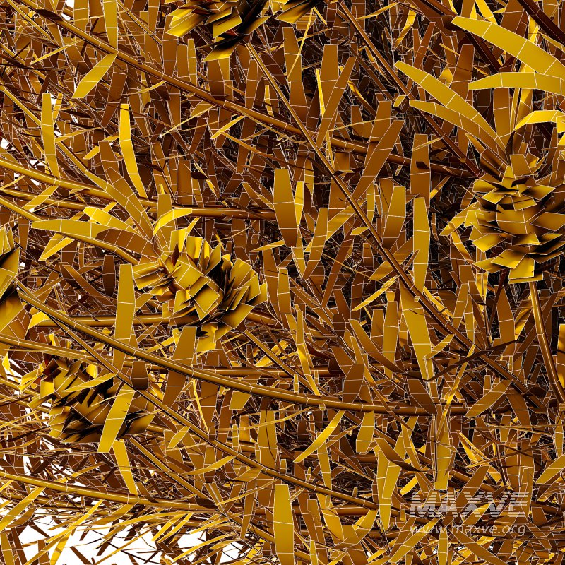 plant bush Flower Lavandula Stoechas 02 - Image 5