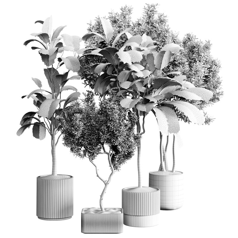 indoor plants 120 – plant collections in pot - Image 3