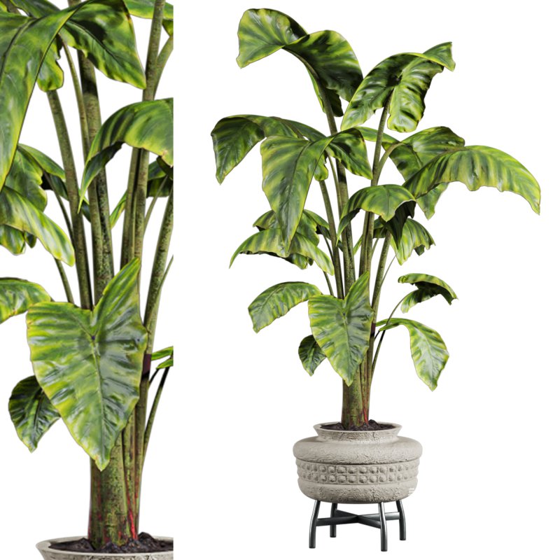 potted plant - Image 1