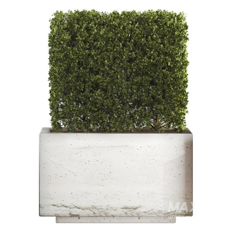 Hedge Set 01 - Image 3