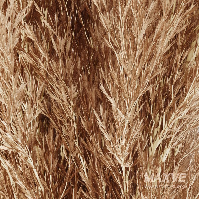 Minimal Pampas Bouquet in Glass Vase - Image 3