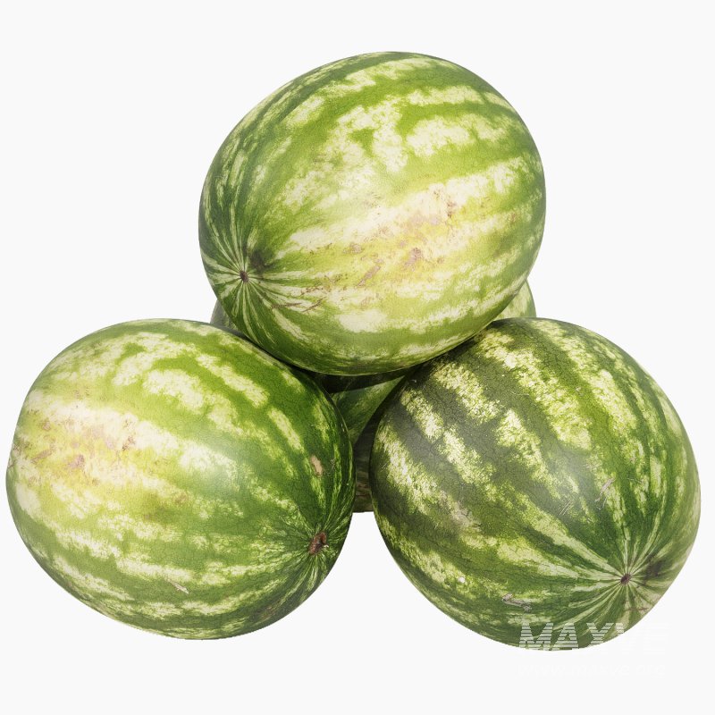 Watermelon - Image 2