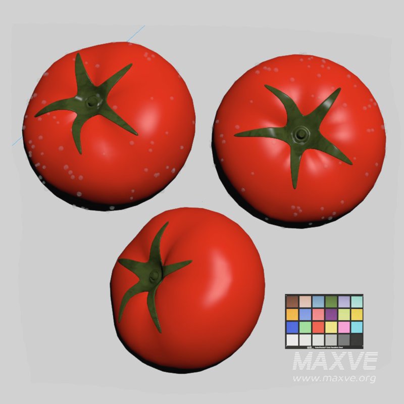 Tomato - Image 3