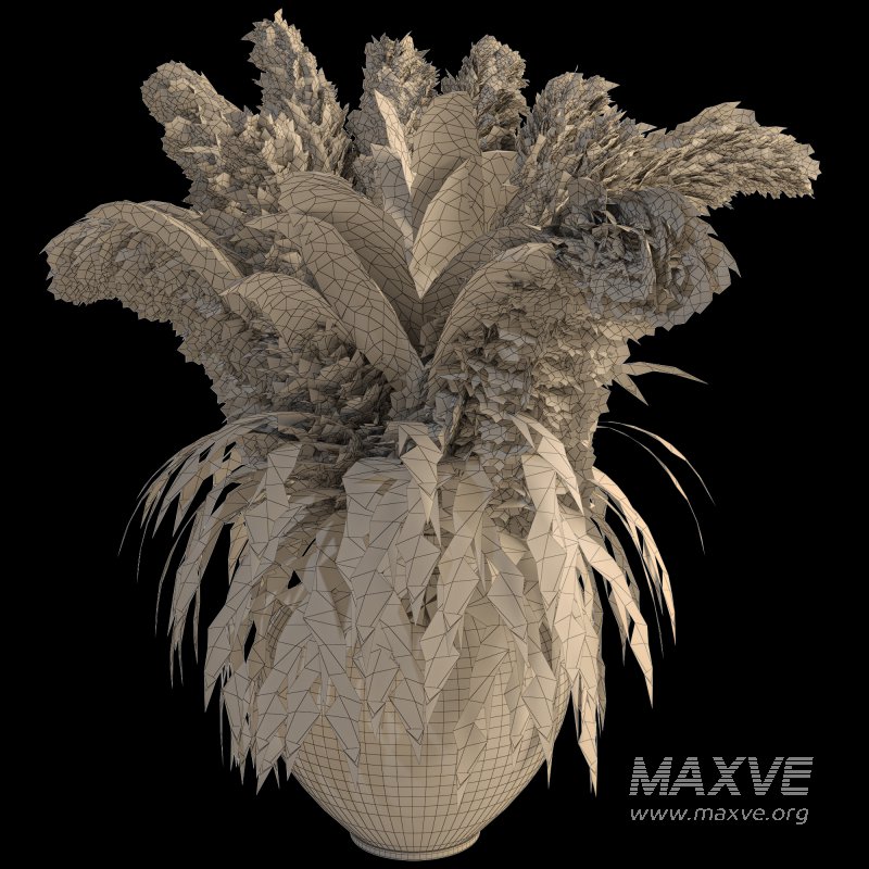 Minimal Pampas Bouquet in Pottery Vase 09 - Image 3