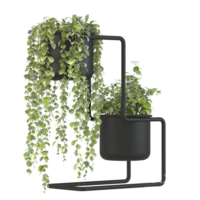 Plant Set 04 - Image 4