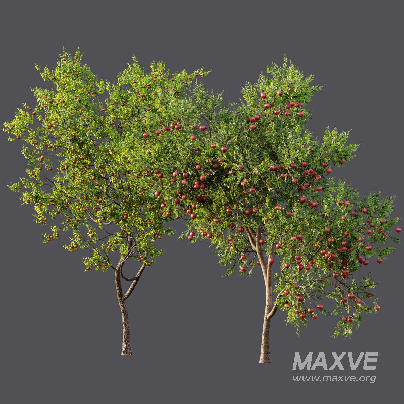 ntal and productive garden designs. - Image 16