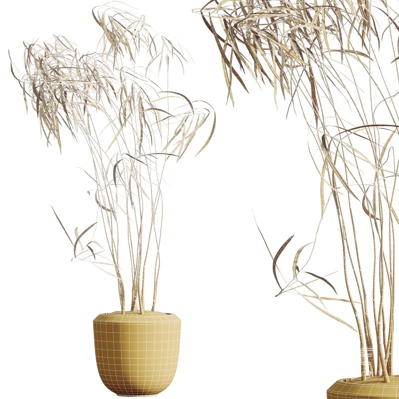 AV Indoor Plants Set 288 Fruit Lemon Tree and Banana Nicolai and Ficus Dracaena Marginata and Olive - Image 7