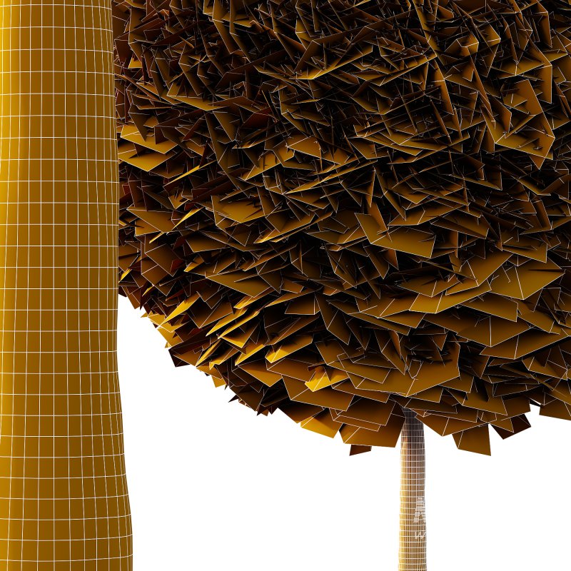 Juniperus scopulorum Tree 03 - Image 2