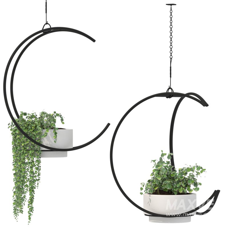 Metal Hanging Plants 04 - Image 3