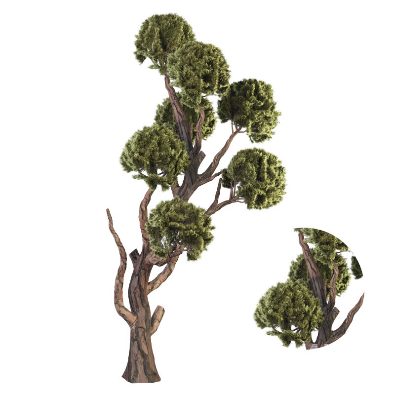Topiary Ball Tree - Image 1