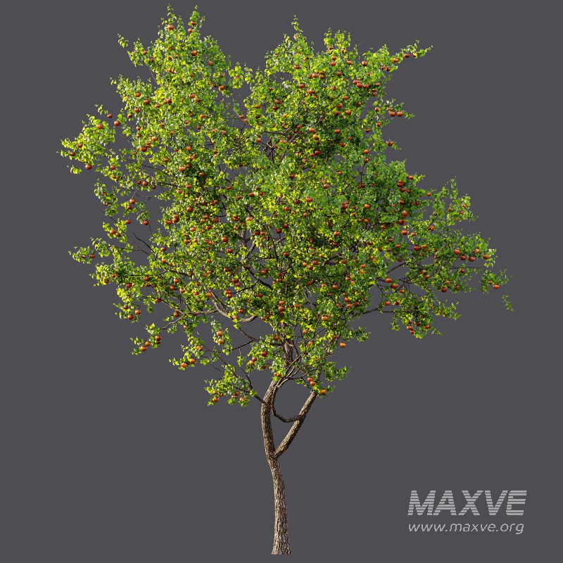 ntal and productive garden designs. - Image 11