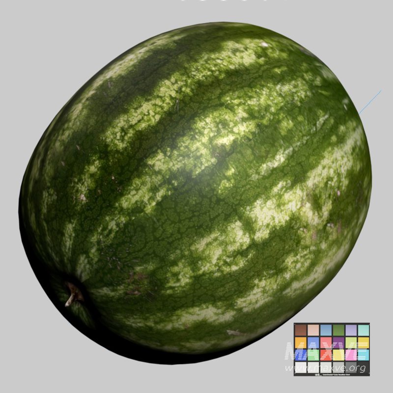 Watermelon - Image 3