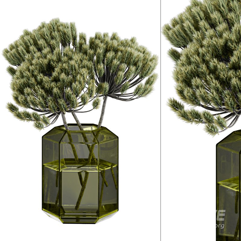 Pampas in Vase - Image 1