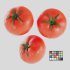 Tomato - Thumbnail 1