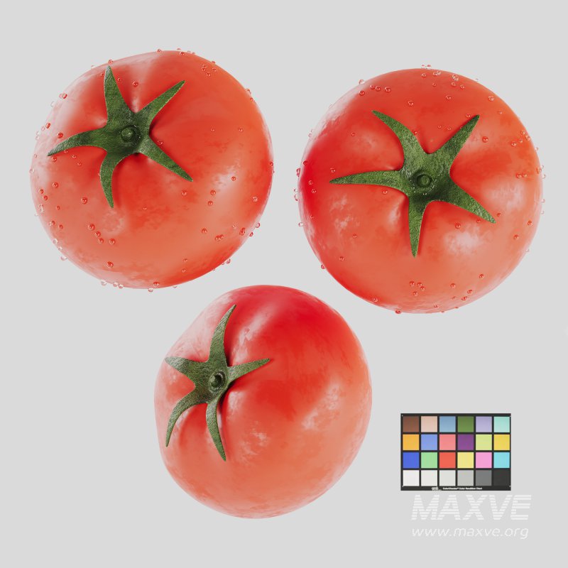 Tomato - Image 1