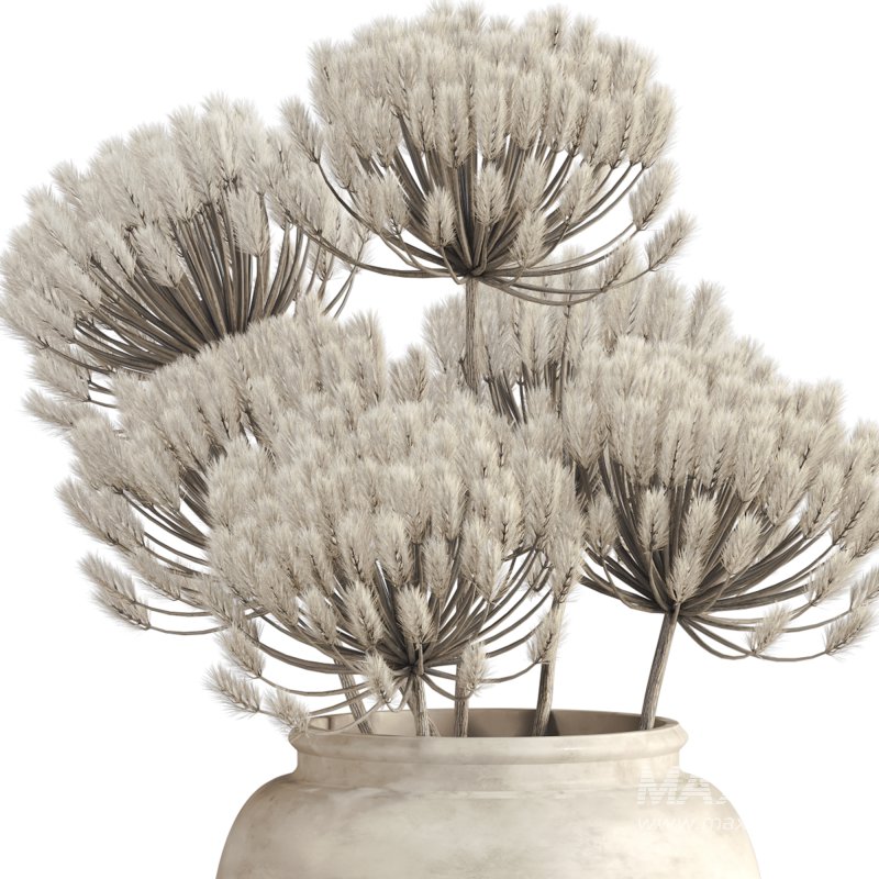 Minimal Pampas Bouquet in Vase - Image 3